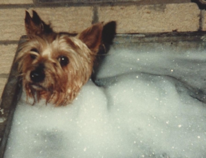 Penny Having A Bubble Bath!