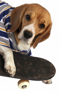 Kids Page - Beagle