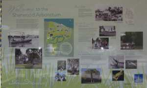 Sherwood Arboretum's Rich History