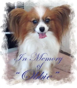 In Memory of Obbie