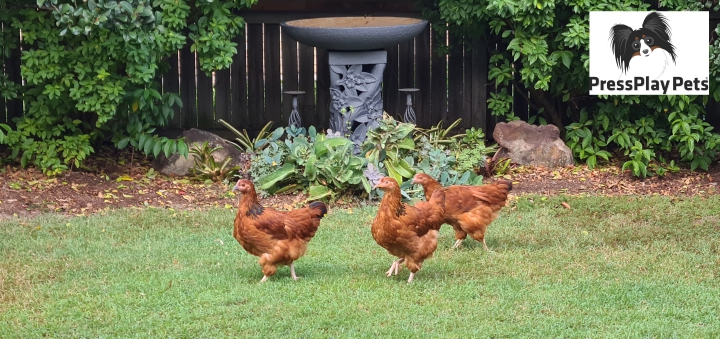 The Ladies Have Arrived!