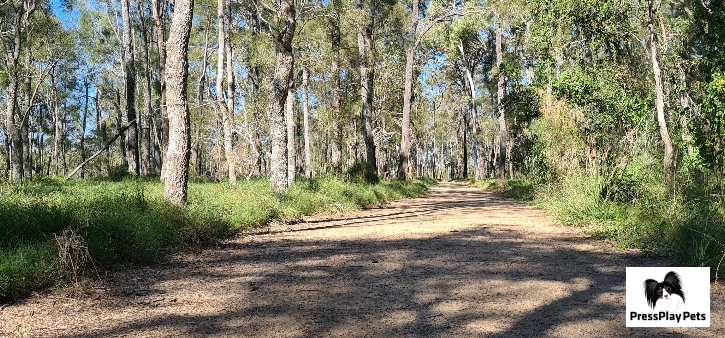 Boondall Wetlands